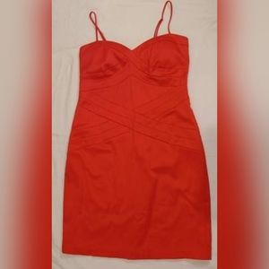 Vintage Bisou Bisou dress